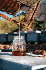 Glass can full of honey