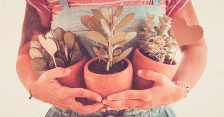 Close up in vintage style of caucasian woman holding with love three plants - gardeinng shop market or home nature. care -save the planet and earth's day celebration - people at work