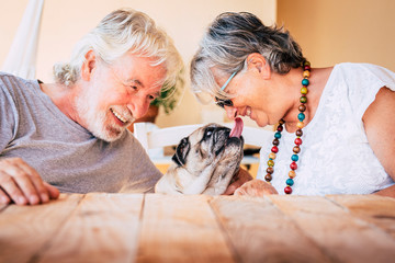 portrait of senior mature caucasian people  couple with funny pet pug dog kissing and having. fun together with love and happiness - concept of animal therapy for aged old persons