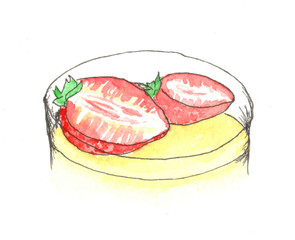 vanilla dessert with strawberries watercolor