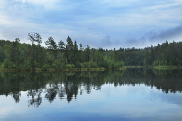 forest around the lake. reflection of trees in water. blue lakes on Naroch