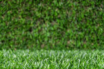 artificial grass backdrop with selective focus.
