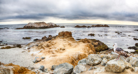17 Mile Drive