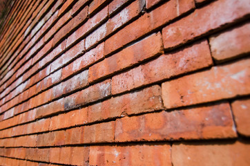 red brick wall with white stain