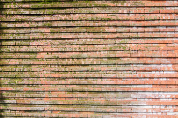 mossy brick wall with white stain