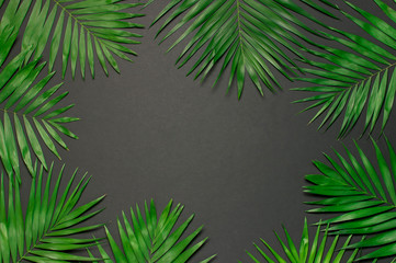 Creative minimal background with tropical leaves. Tropical palm leaves on gray black background. Flat lay, top view, copy space. Summer background, nature. Leaf pattern