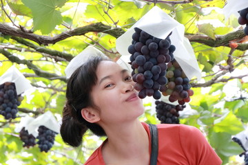 young woman picking grape in vineyard in Japan