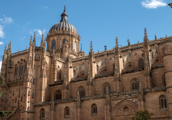 Fototapeta na wymiar New Cathedral (Catedral Nueva), One Of The Two Cathedrals Of Salamanca, Spain