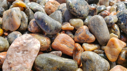 Pebble beach as background. Calm concept. Closeup of wet multicolored stones