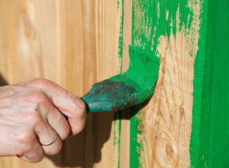 Green brush is painting wood surface to green colour