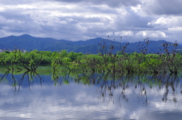 반영. 구름.  물. 호수. 저수지. 댐.