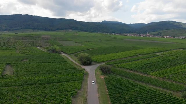 Drone Tracking Shot of White Car Driving through the Vins d'Alsace Vineyards.