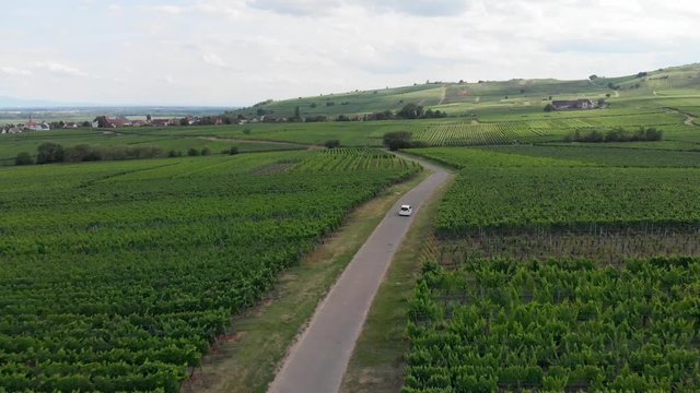 Aerial Tracking Shot of a White Car Driving Through a French Vineyard.