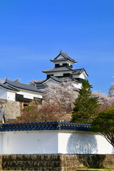 桜と小峰城（福島県・白河市）