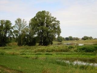 Obraz premium Elberadweg zwischen Riesa und Belgern (Sachsen)