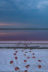 pink lake in Ukraine
