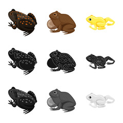 Isolated object of wildlife and bog icon. Set of wildlife and reptile stock vector illustration.