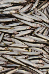 Fototapeta premium Fresh raw sprats background. Fish or seafood background