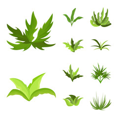 Vector design of garden and grass symbol. Collection of garden and shrub stock symbol for web.