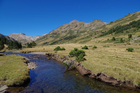 vall&eacute;e de la grave et rivi&egrave;re la T&ecirc;t dans les pyr&eacute;n&eacute;es orientales