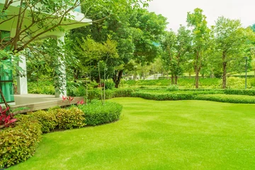 Foto op Plexiglas Moderne woning met mooi aangelegde voortuin, gazon en tuin, groen gazon, landschap formeel, voortuin is prachtig aangelegde tuin., ontwerp achtergrond. © singjai