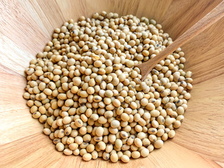 Soy beans in a wooden bowl and wooden spoon for soybean seed scoop
