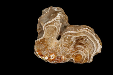 Macro stone Flint mineral on a black background