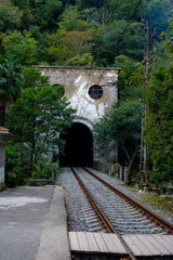 Railroad tracks entering an old tunnel overgrown with green plants.