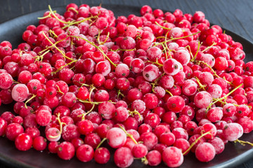 Frozen red currants in a black plate on a black background