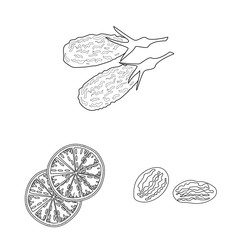 Vector illustration of food and raw logo. Set of food and nature stock vector illustration.