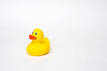 Yellow rubber duck isolated on white background