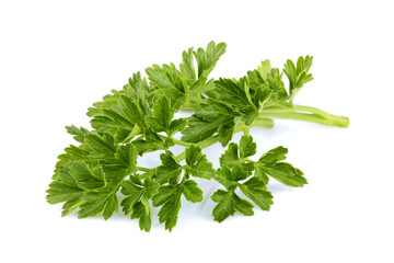 Sprig of fresh homemade parsley isolated.