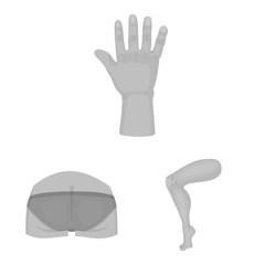 Isolated object of body and part icon. Set of body and anatomy stock symbol for web.
