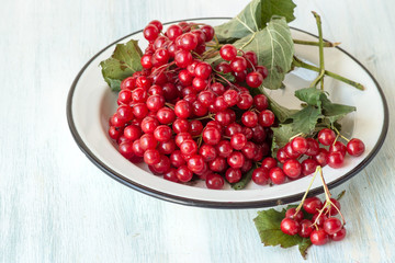 Bunches of red ripe viburnum berries on a round white dish on an old table. Selective focus.