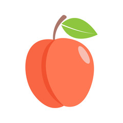 peach - fruit icon vector design template