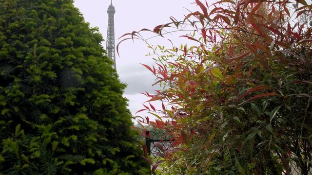 Camera slides from behind bush to reveal the Eiffel Tower