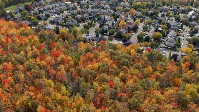 Montreal, Quebec, Canada, aerial view of residential neighbourhood next to maple tree forest showing maple leaves changing colour in autumn season.