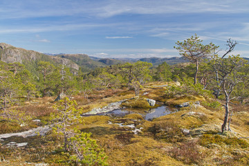 Fototapeta na wymiar Fjelllandschaft im Trondelag
