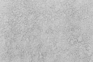 Grey rustic texture background. Black and white.