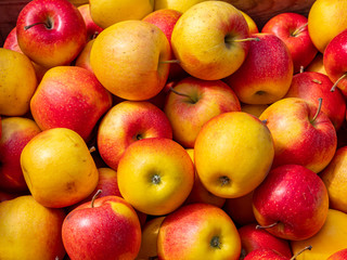 Frische Äpfel auf einem Markt zum Verkauf
