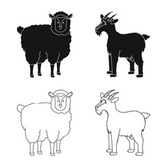 Vector illustration of breeding and kitchen logo. Collection of breeding and organic vector icon for stock.