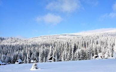 mountain landscape with cottage in winter