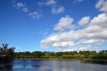池の上空に夏の青空が広がり、白いわた雲が浮かんでいる風景