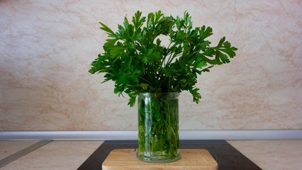Bunch of fresh parsley. Bouquet of parsley in glass vase with water