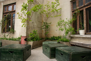 Vintage terrace with wooden boxes, old windows and surrounded by plants
