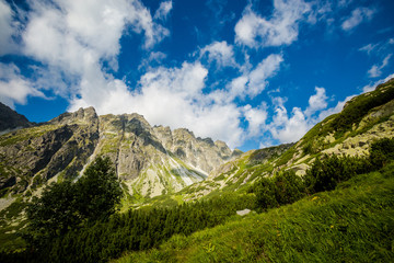 Naklejka premium Path to Rysy Tatra mountains