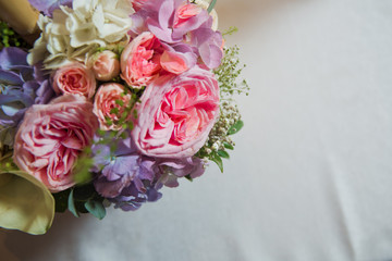 Background with violet,pink peonies on a white background . Pink flower bouquet for text .