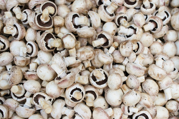 background of mushrooms