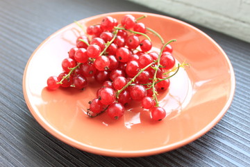  Red currant berry in a clay plate.