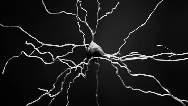 Neuron cell that transmits informations or memories